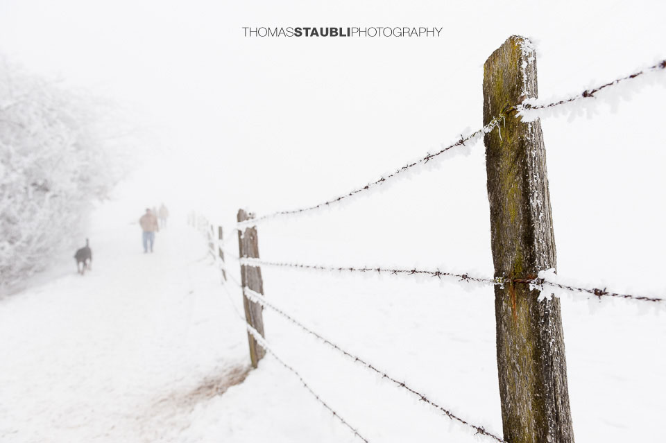 Winterspaziergang am Bergweiher