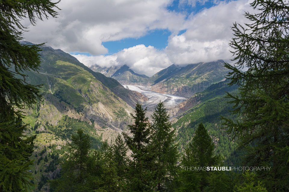 Blick auf den Grossen Aletschgletscher