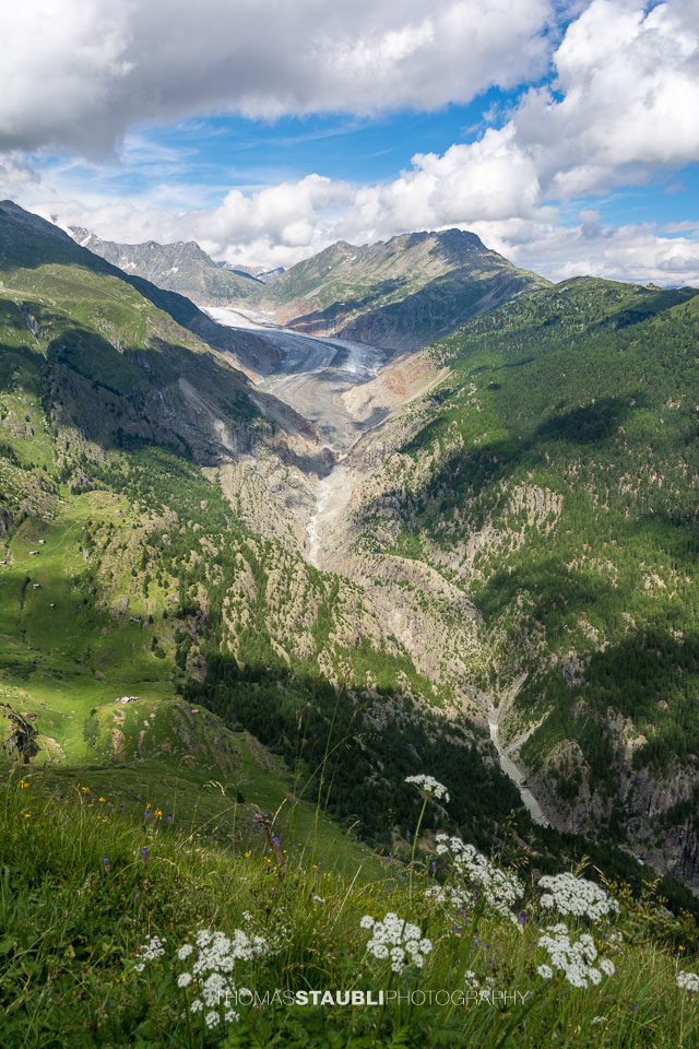 Blick auf den Grossen Aletschgletscher