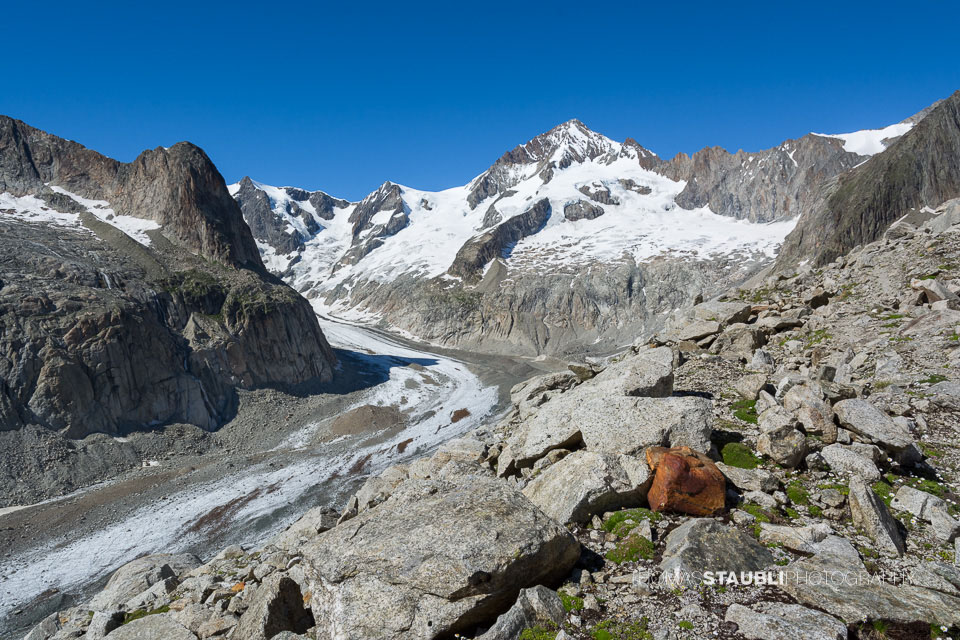 das imposante Aletschhorn