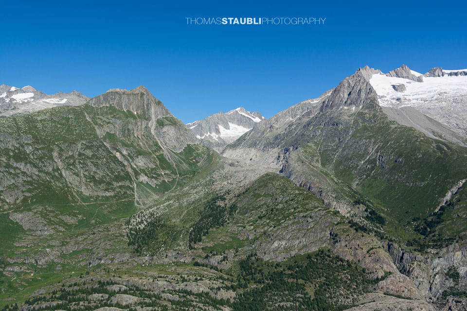 Blick zum Oberaletschgletscher