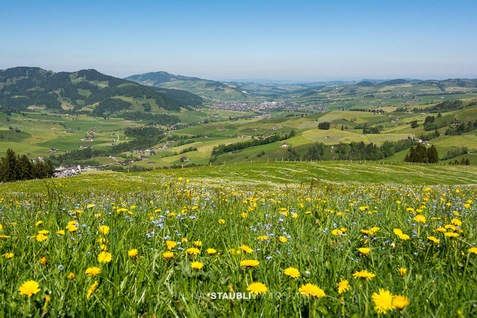 Blick auf Appenzell