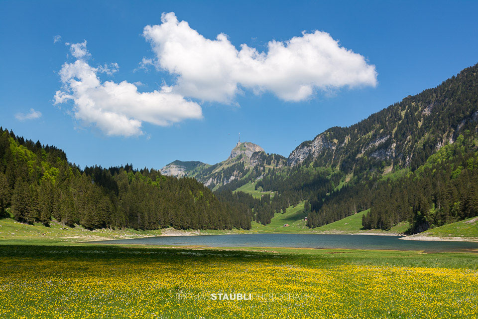 Blumenwiese am Sämtisersee