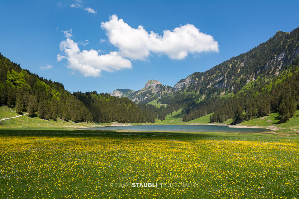 Blumenwiese am Sämtisersee