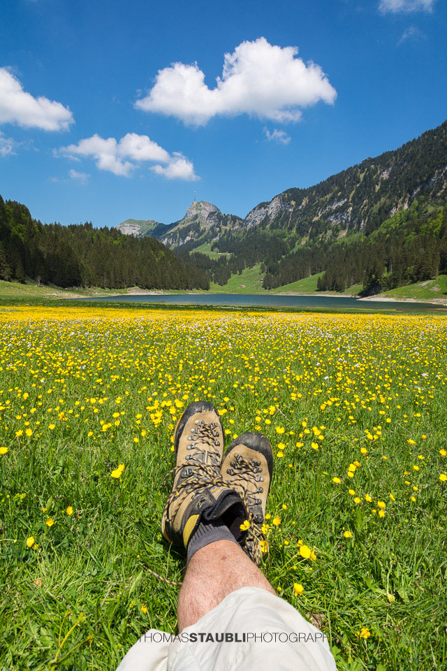 Blumenwiese am Sämtisersee