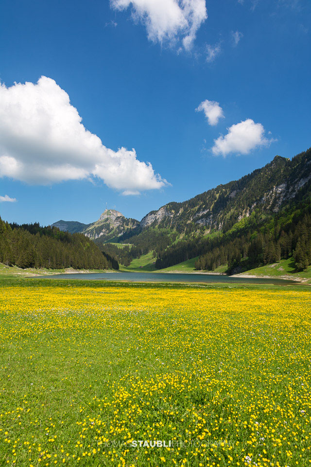 Blumenwiese am Sämtisersee