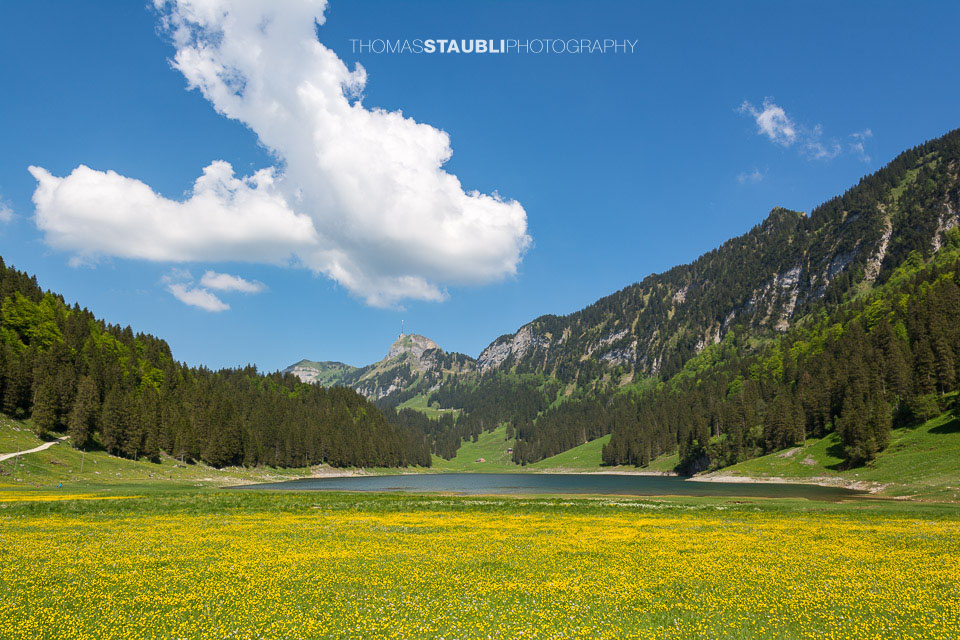 Blumenwiese am Sämtisersee