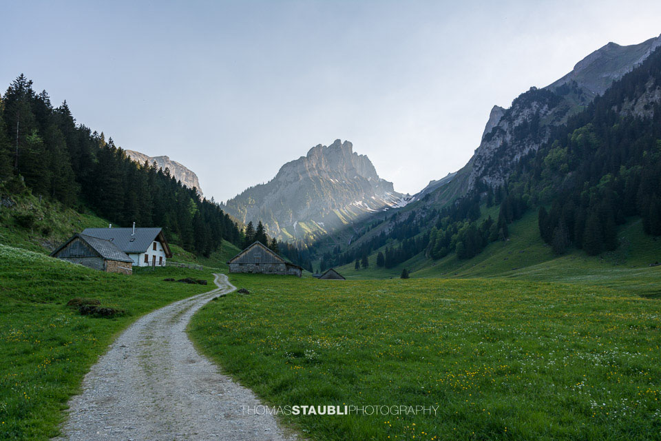 Abenddämmerung im Alpstein