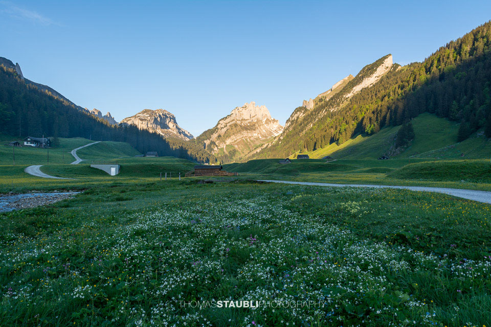 Blick vom Appenzeller Sämtis Richtung Hundstein