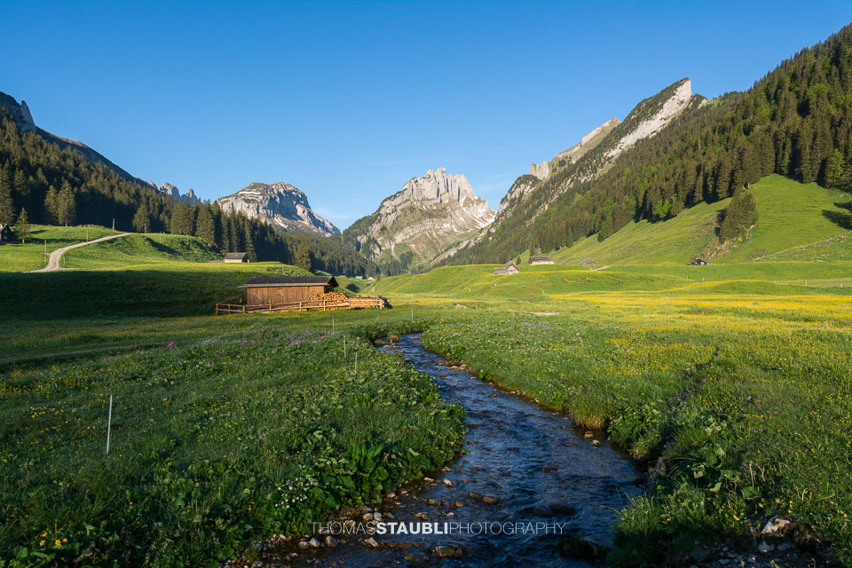 Blick vom Appenzeller Sämtis Richtung Hundstein