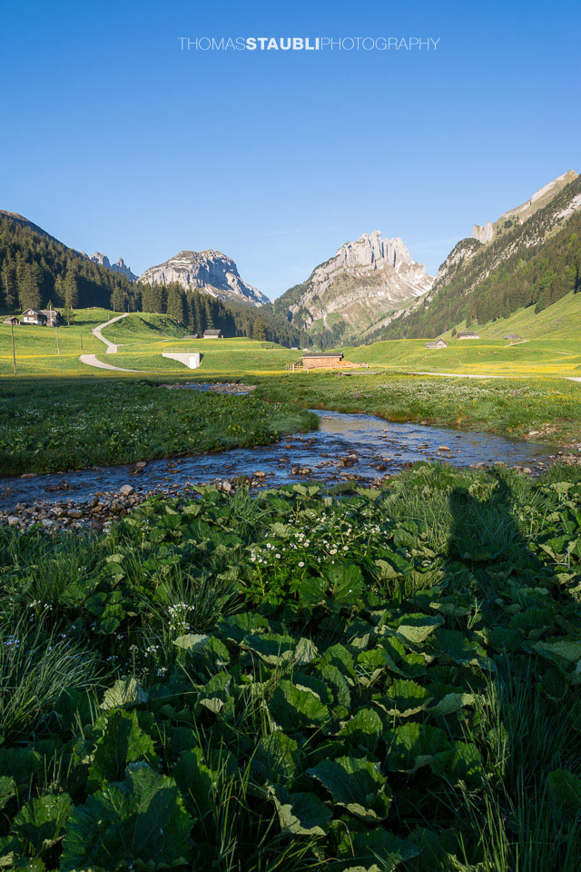 Blick vom Appenzeller Sämtis Richtung Hundstein
