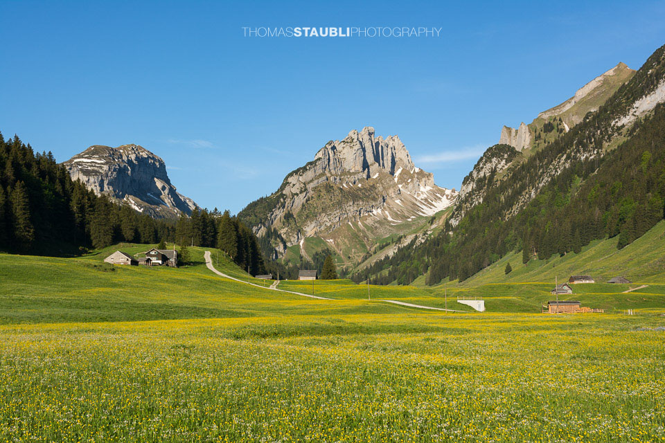 Blick vom Appenzeller Sämtis Richtung Hundstein