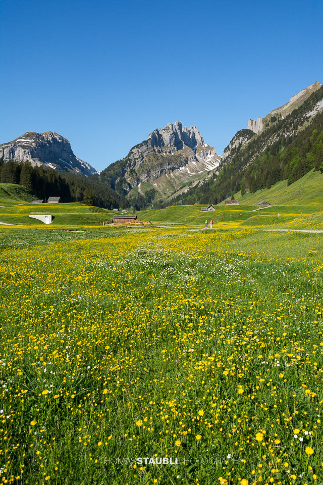 Blick vom Appenzeller Sämtis Richtung Hundstein