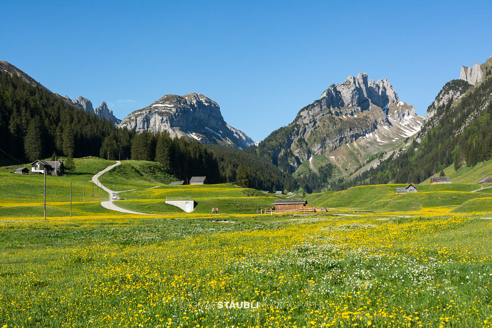 Blick vom Appenzeller Sämtis Richtung Hundstein