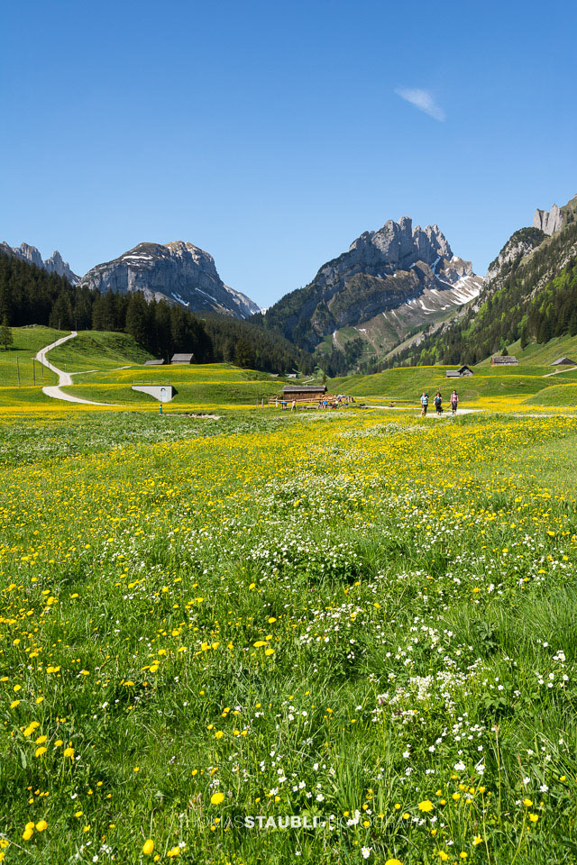 Blick vom Appenzeller Sämtis Richtung Hundstein