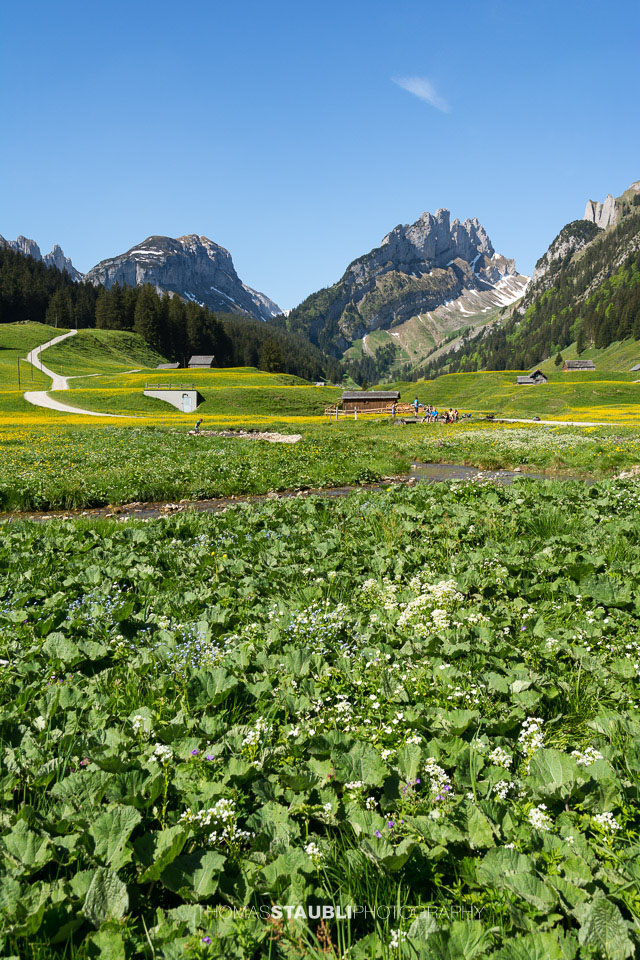 Blick vom Appenzeller Sämtis Richtung Hundstein
