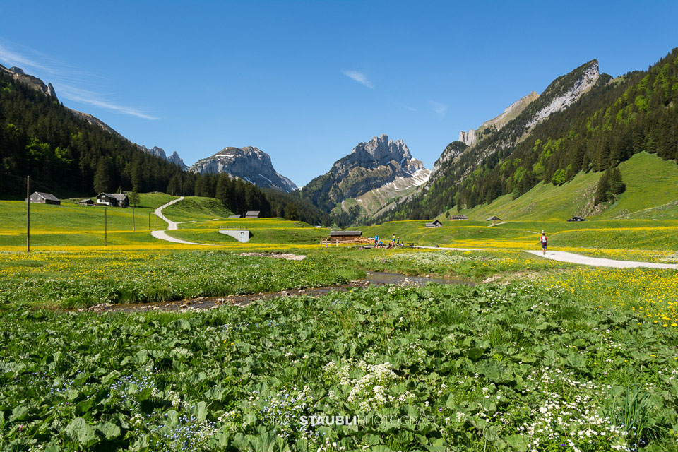Blick vom Appenzeller Sämtis Richtung Hundstein