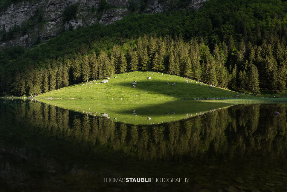 Spiegelung im Seealpsee