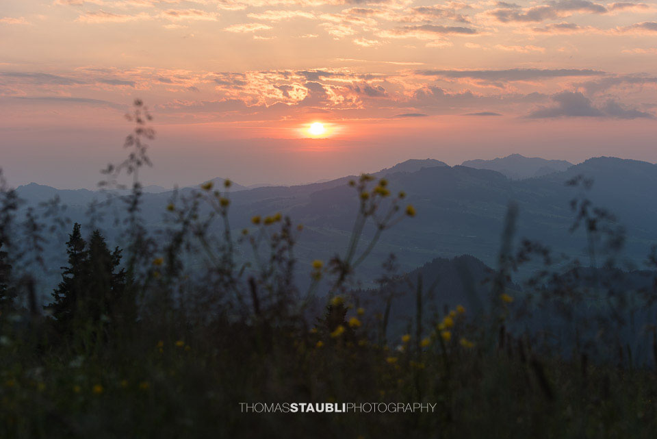 Sonnenaufgang auf dem Tanzboden
