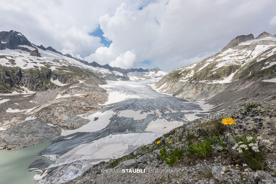 Bergfrühling am Rhonegletscher