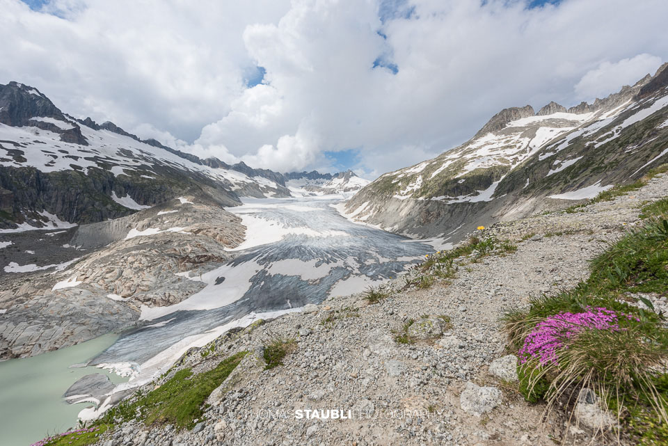 Bergfrühling am Rhonegletscher