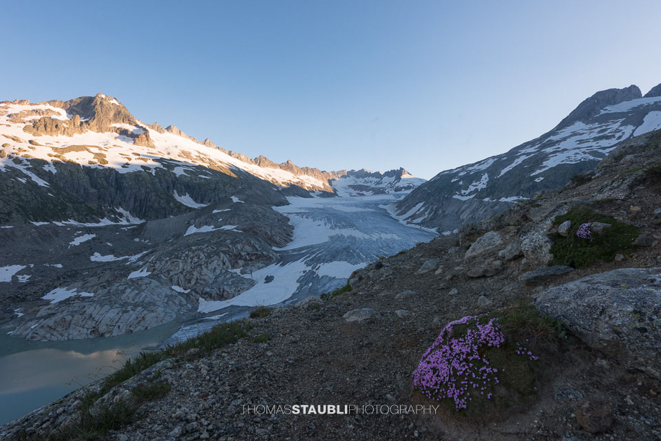 Rhonegletscher (2019)