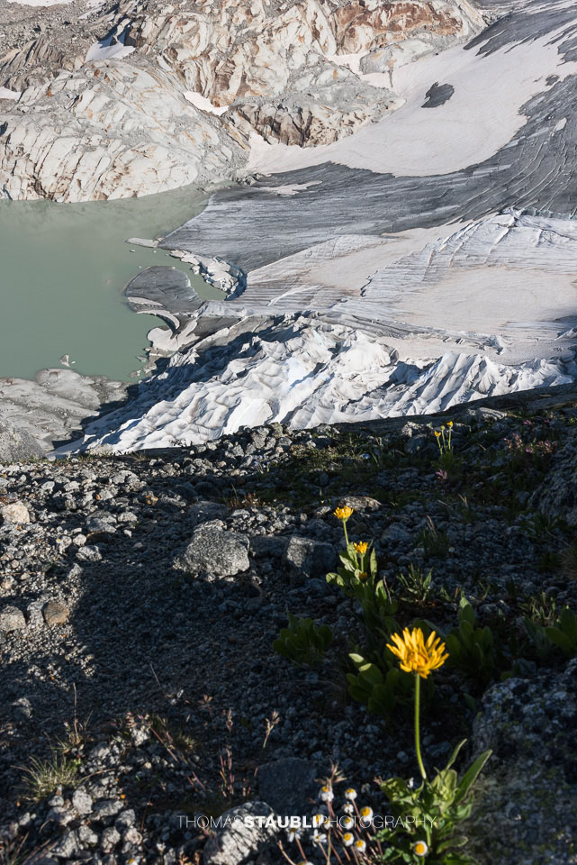Rhonegletscher (2019)
