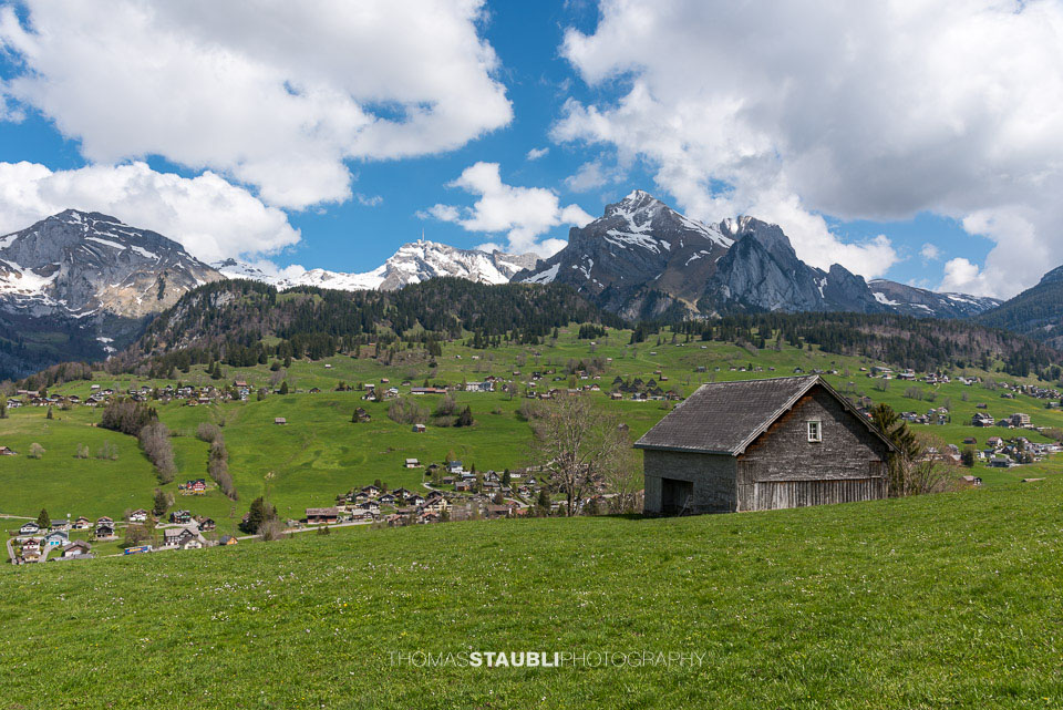 Blick zum Säntis und Wildhauser Schafberg