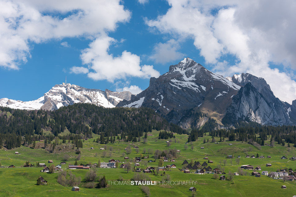 Blick zum Säntis und Wildhauser Schafberg