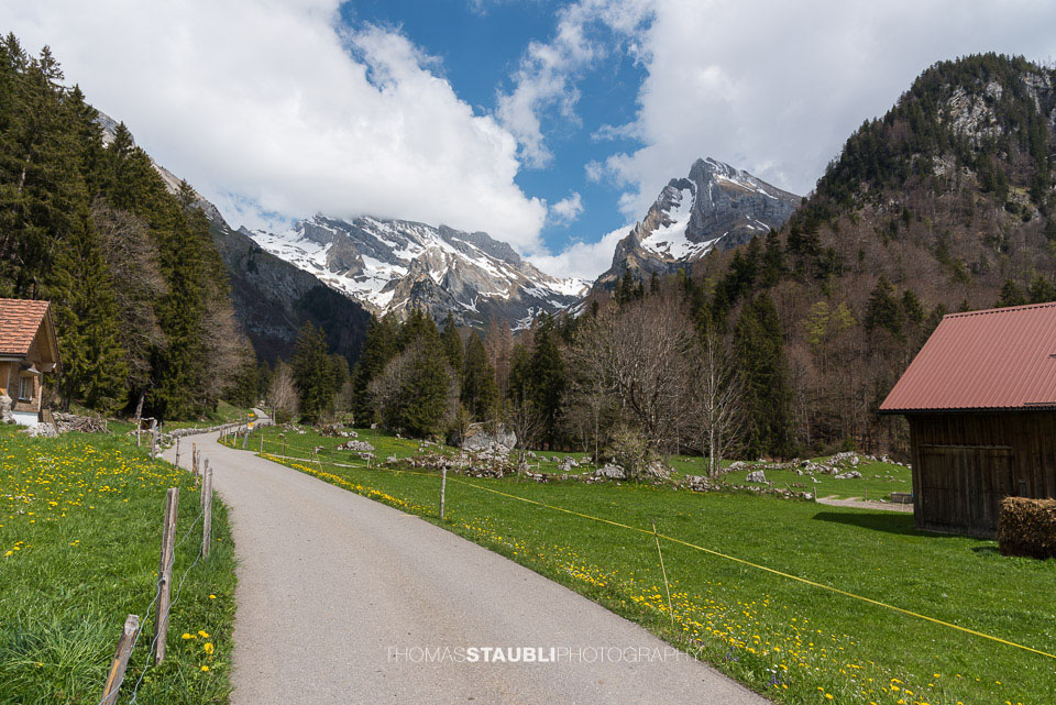 Blick zum Wildhauser Schafberg
