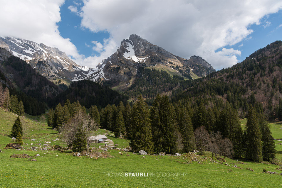 Blick zum Wildhauser Schafberg