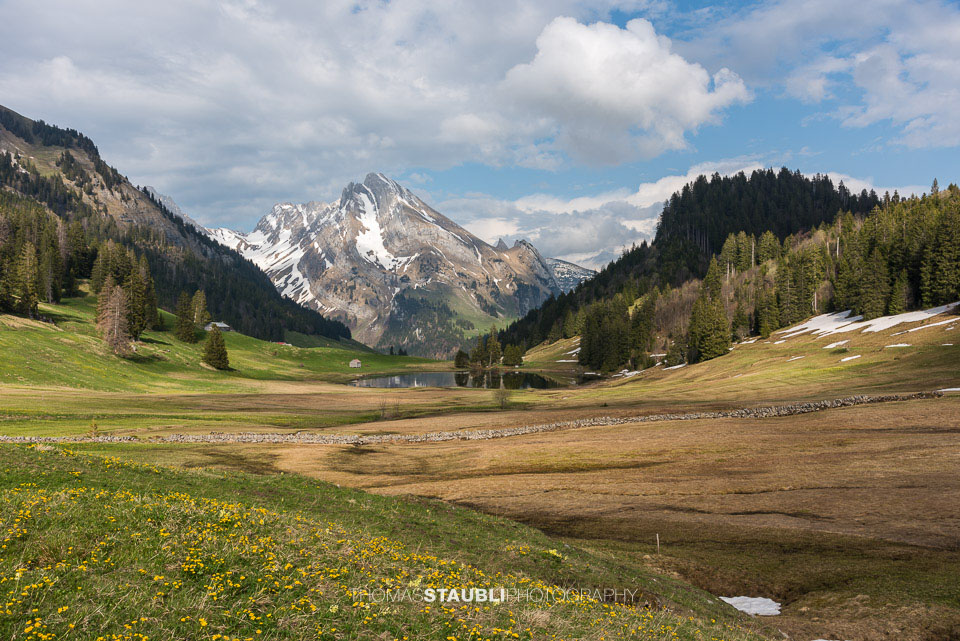 Gräppelensee mit Blick zum Wildhauser Schafberg