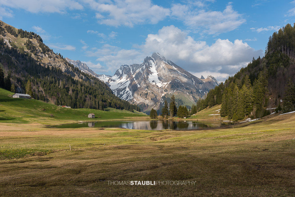 Moorlandschaft am Gräppelensee