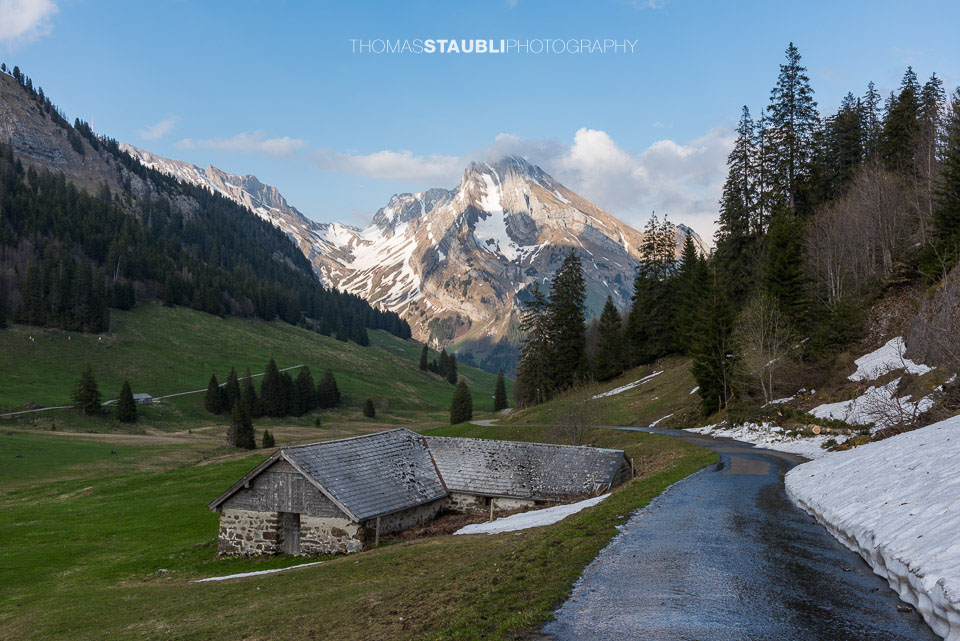 der Wildhauser Schafberg in der Abendsonne