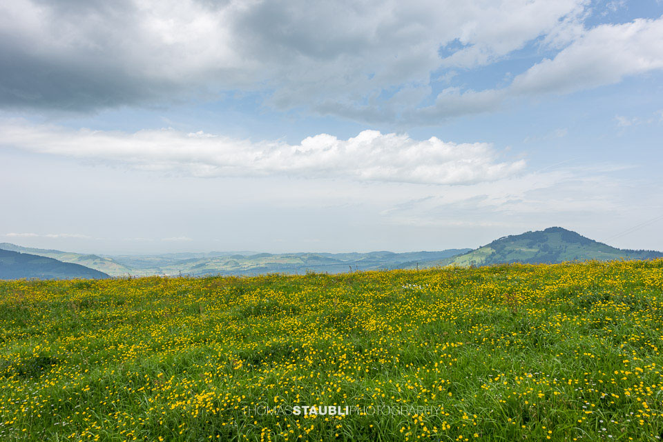 Blick von der Alp Soll ins Appenzellerland