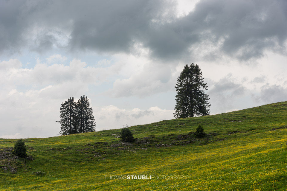 Gewitterwolken über dem Alpstein