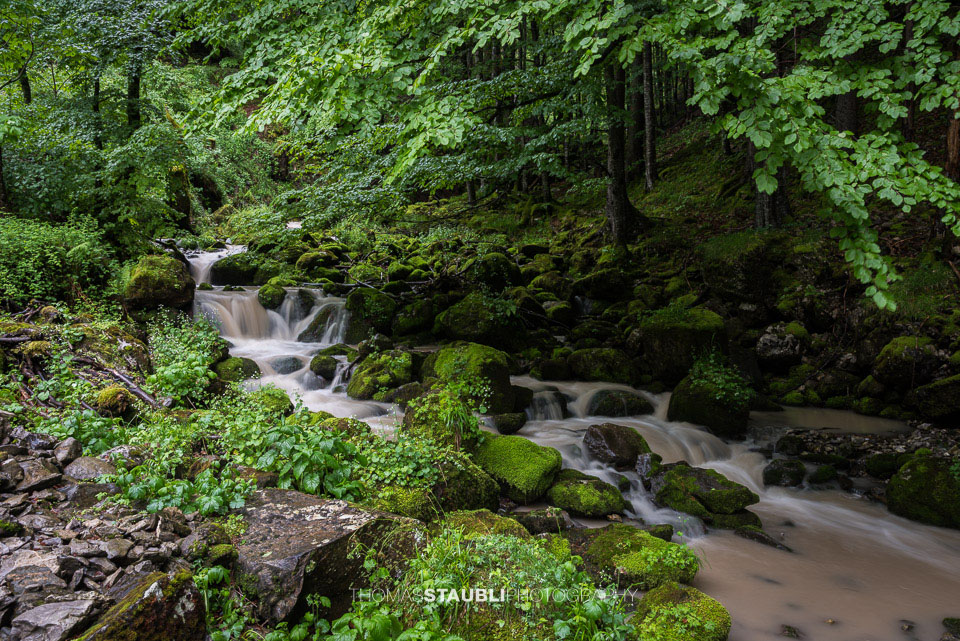 Brüelbach im Brüeltobel