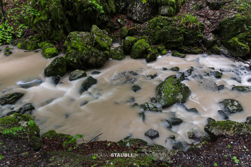 Brüelbach im Brüeltobel