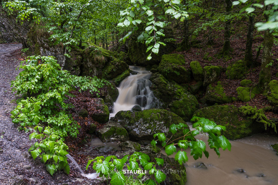 Brüelbach im Brüeltobel