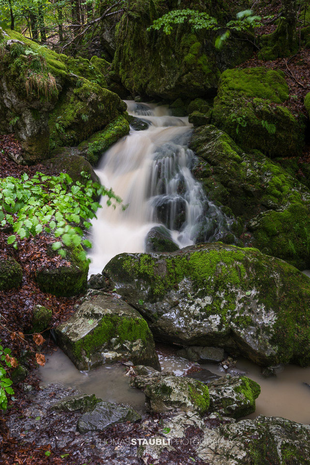 Brüelbach im Brüeltobel