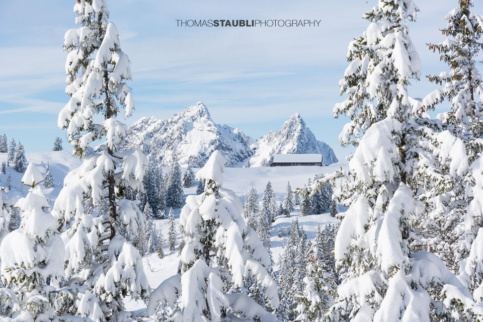 Blick Richtung Furggelen, im Hintergrund der Klein Mythen und Haggenspitz