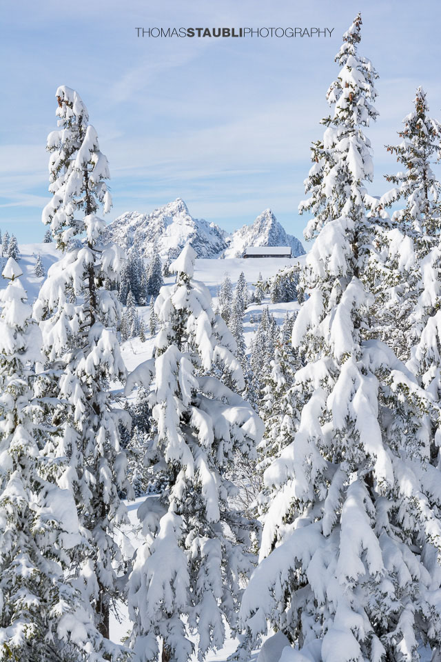 Blick Richtung Furggelen, im Hintergrund der Klein Mythen und Haggenspitz