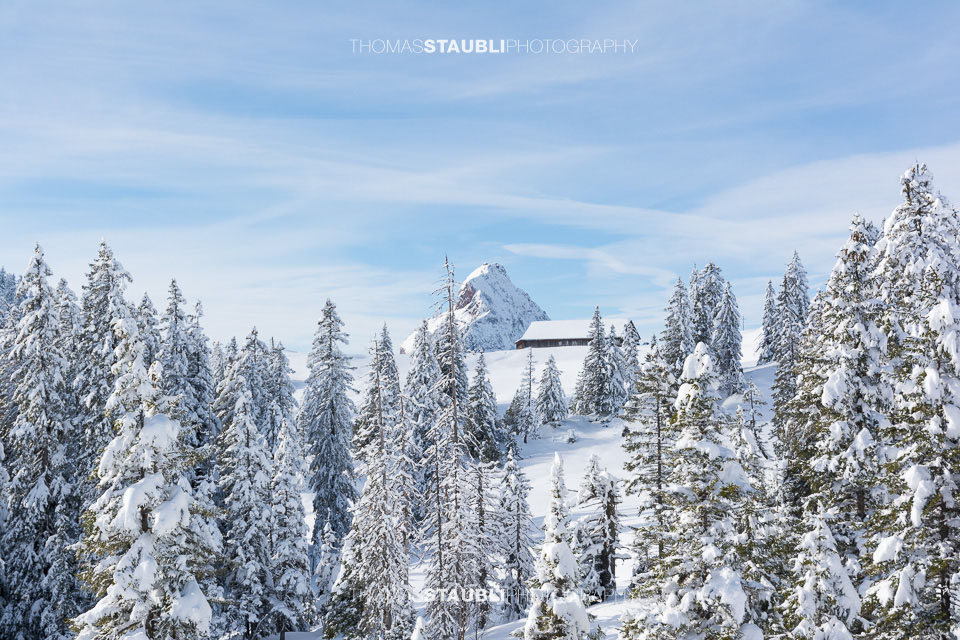 Blick Richtung Furggelen, im Hintergrund der Gross Mythen