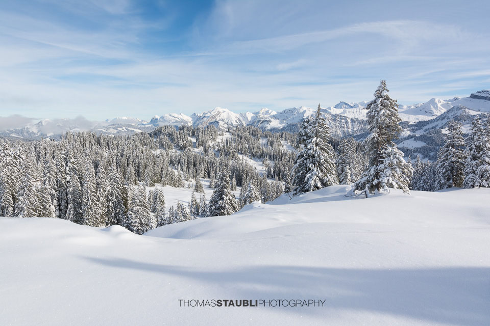 Winterimpressionen aus dem Ybrig