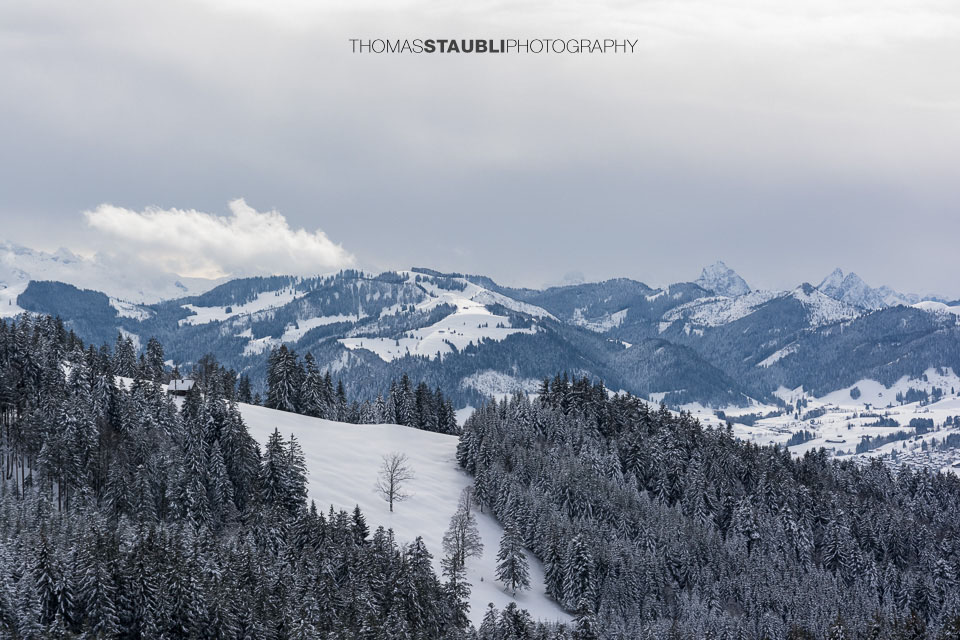 Blick Richtung verschneiter Mythen