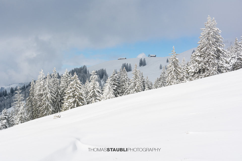 Blick hinauf zur verschneiten Alpwirtschaft Wildegg