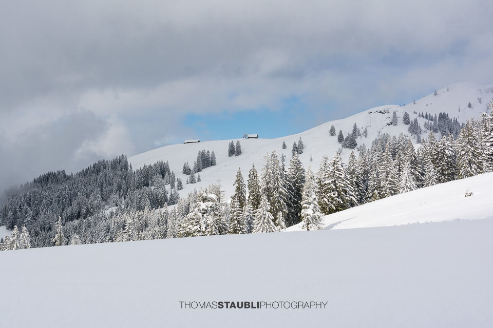 Blick hinauf zur verschneiten Alpwirtschaft Wildegg