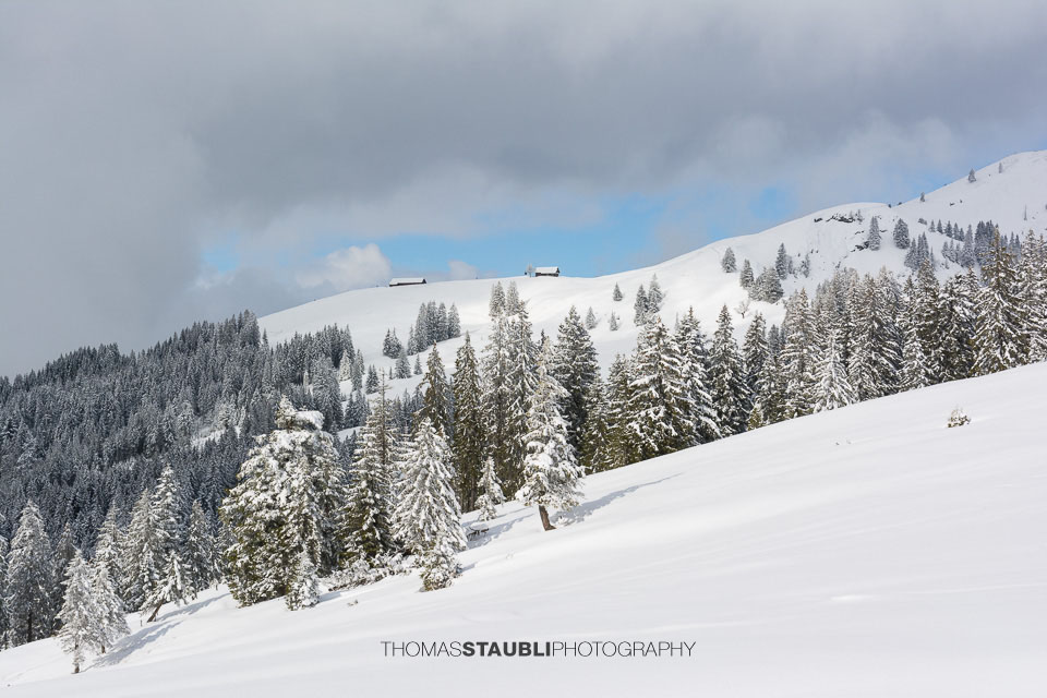 Blick hinauf zur verschneiten Alpwirtschaft Wildegg