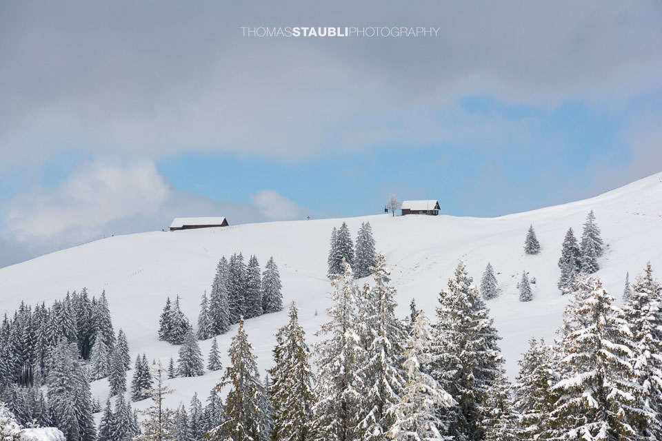 Blick hinauf zur verschneiten Alpwirtschaft Wildegg