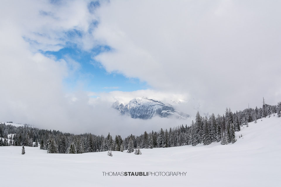 Blick von der Salzläcki